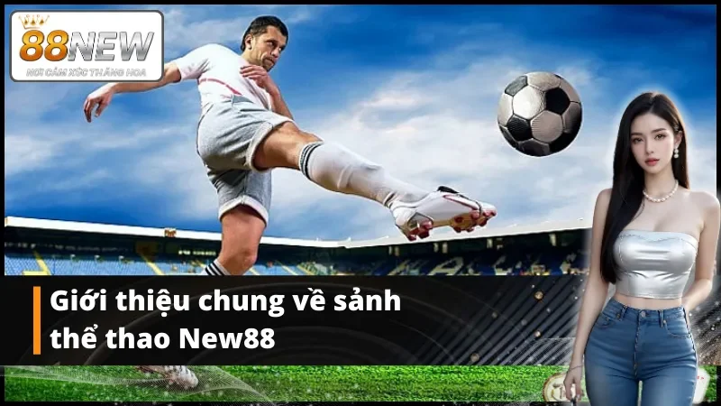 Giới thiệu sơ lược về sảnh thể thao New88